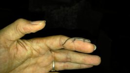 20160616_152633.jpg