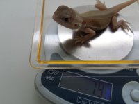 20160730_101932.jpg