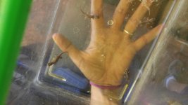 20160616_164417.jpg