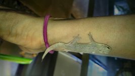 20160616_153433.jpg