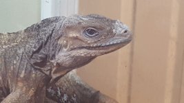 20160404_172608.jpg