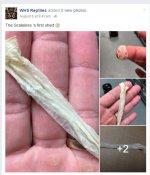 scaleless shed.jpg