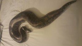 20160311_191921.jpg