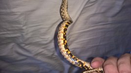WP_20160211_17_48_08_Pro.jpg