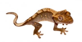 3b.jpg