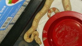20150630_104747.jpg