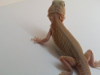20160817_164229.jpg