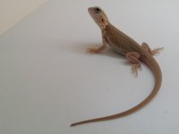 20160817_164218.jpg