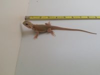 20160817_164253.jpg