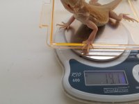 20160817_164337.jpg