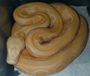 20160808_232535.jpg