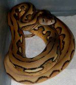 20160808_232510.jpg