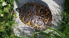 20160227_145059.jpg