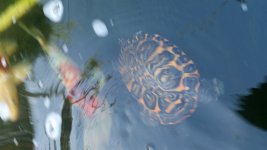 20160227_160318.jpg