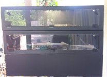 20150601_155925.jpg