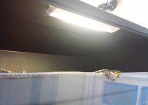 20150601_155837.jpg