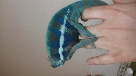20160103_163251.jpg