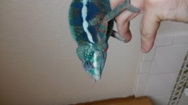 20160103_163256.jpg