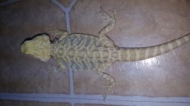20160601_111850.jpg