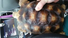20160503_133001.jpg