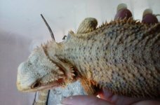 20160505_190150.jpg