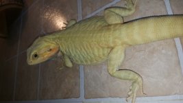 20160624_150741.jpg
