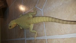 20160624_150736.jpg