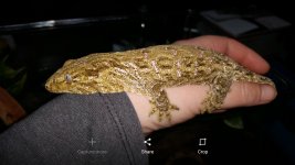 Screenshot_20160807-230129.jpg
