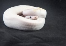14 Super Fire-0057.jpg