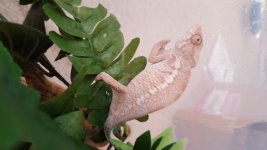 20160818_155627.jpg