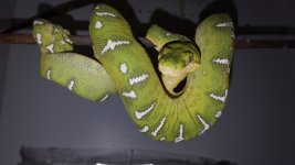 Emerald F #3.jpg
