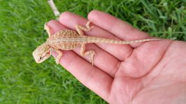 20160809_105419.jpg