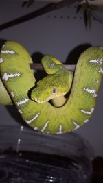 Emerald F #2.jpg