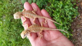 20160809_105647.jpg