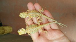 20160809_105707.jpg