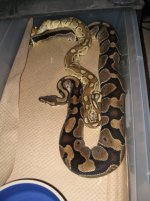 amberparkay2010_2011sm.jpg