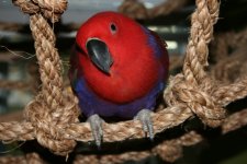 IMG_7842.jpg
