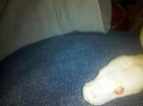 IMG_20101012_161239.jpg