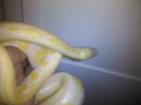 IMG_20101012_161233.jpg