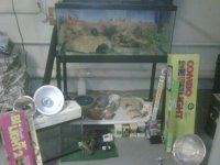 Reptile equipment.jpg