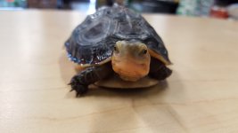 20160312_124734.jpg