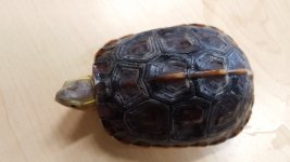 20160312_124707.jpg