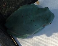 IMG_3865.JPG