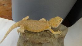 DSC00836.jpg