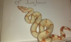 20160203_185528.jpg