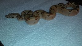 20160312_154648.jpg