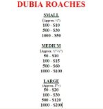 dubia list.JPG