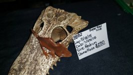 20160524_202044.jpg