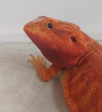 IMG_20160809_004541.jpg