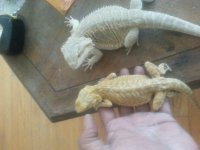 20160508_111438.jpg